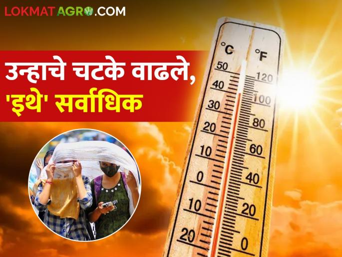 Temperature: Highest temperature recorded in this district, 43.2 degrees Celsius, in next 24 hours.. | temperature: या जिल्ह्यात सर्वाधिक तापमानाची नोंद, ४३.२ अंश तापमानाची नोंद,पुढील २४ तासांत..