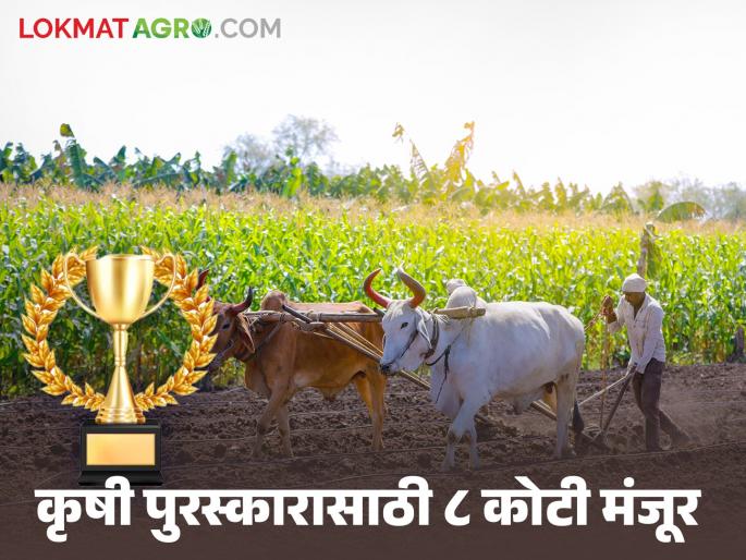 Agriculture Awards: Fund of 8 crore 10 lakhs approved by the government for distribution of agriculture awards to farmers | Agriculture Awards : शेतकऱ्यांना कृषी पुरस्काराच्या वितरणासाठी सरकारकडून ८ कोटी १० लाखांचा निधी मंजूर Agriculture Awards: Fund of 8 crore 10 lakhs approved by the government for distribution of agriculture awards to farmers | Agriculture Awards : शेतकऱ्यांना कृषी पुरस्काराच्या वितरणासाठी सरकारकडून ८ कोटी १० लाखांचा निधी मंजूर