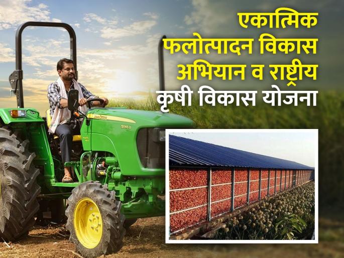 Did you apply for tractor, greenhouse, kandachali? | ट्रॅक्टर, हरितगृह, कांदाचाळीसाठी अर्ज केला का? Did you apply for tractor, greenhouse, kandachali? | ट्रॅक्टर, हरितगृह, कांदाचाळीसाठी अर्ज केला का?