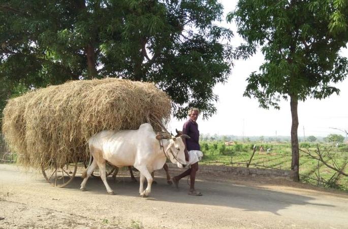 Dissatisfaction from the Sangh-affiliated Kisan Sangh regarding the Agriculture Bill | कृषी विधेयकाबाबत संघप्रणीत किसान संघाकडून नाराजीचा सूर