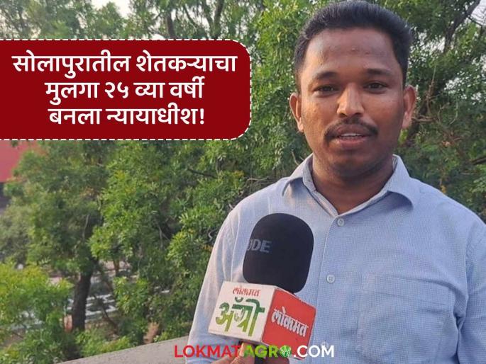 Ashpak Mulani Farmer's son becomes civil court judge at the age of 25 | Ashpak Mulani : शेतकऱ्याचा मुलगा २५व्या वर्षी बनला दिवाणी न्यायालयाचा न्यायाधीश Ashpak Mulani Farmer's son becomes civil court judge at the age of 25 | Ashpak Mulani : शेतकऱ्याचा मुलगा २५व्या वर्षी बनला दिवाणी न्यायालयाचा न्यायाधीश