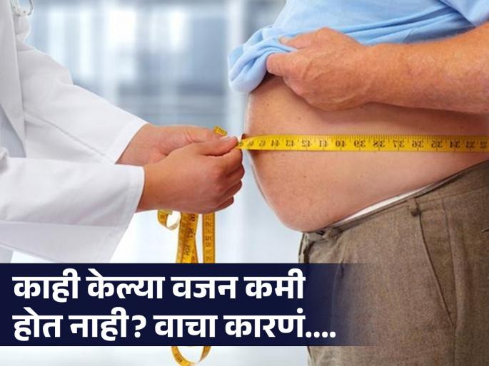 Rujuta Diwekar told weight loss mistakes to avoid know its | 'या' 3 चुका केल्या तर कधीच कमी होणार नाही वजन, ऋजुता दिवेकर यांनी दिला खास सल्ला... Rujuta Diwekar told weight loss mistakes to avoid know its | 'या' 3 चुका केल्या तर कधीच कमी होणार नाही वजन, ऋजुता दिवेकर यांनी दिला खास सल्ला...