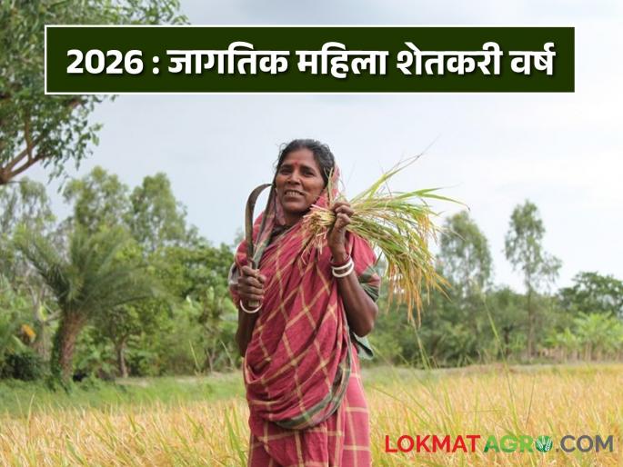 Honor women farmers 2026 has declared International Year Women Farmers | महिला शेतकऱ्यांचा सन्मान! 2026 हे वर्षे 'जागतिक महिला शेतकरी वर्ष' म्हणून घोषित Honor women farmers 2026 has declared International Year Women Farmers | महिला शेतकऱ्यांचा सन्मान! 2026 हे वर्षे 'जागतिक महिला शेतकरी वर्ष' म्हणून घोषित