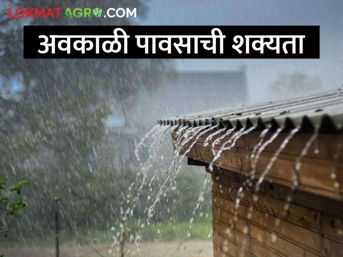 Chance of rain in the state for the next four days from today - Meteorological Department | राज्यात आजपासून पुढील चार दिवस पावसाची शक्यता- हवामान विभाग Chance of rain in the state for the next four days from today - Meteorological Department | राज्यात आजपासून पुढील चार दिवस पावसाची शक्यता- हवामान विभाग