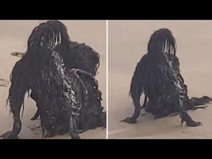 Viral Video : Woman shared shocking video call it demon on the beach panama people scared know truth | सोशल मीडियावरील हा व्हिडीओ पाहून घाबरले लोक, पण सत्य आहे वेगळंच! Viral Video : Woman shared shocking video call it demon on the beach panama people scared know truth | सोशल मीडियावरील हा व्हिडीओ पाहून घाबरले लोक, पण सत्य आहे वेगळंच!