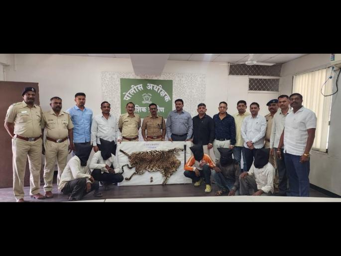 Police have arrested a gang that was hunting and skinning leopards In Igatpuri | इगतपुरीत बिबट्याची शिकार करून कातडी काढणाऱ्या टोळीला पोलिसांनी ठोकल्या बेड्या Police have arrested a gang that was hunting and skinning leopards In Igatpuri | इगतपुरीत बिबट्याची शिकार करून कातडी काढणाऱ्या टोळीला पोलिसांनी ठोकल्या बेड्या
