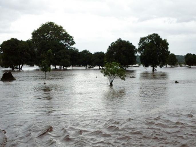 damage to crops on 2 lakh hectares due to Floods in the state | राज्यात पुरामुळे २ लाख हेक्टरवरील पिकांचे नुकसान damage to crops on 2 lakh hectares due to Floods in the state | राज्यात पुरामुळे २ लाख हेक्टरवरील पिकांचे नुकसान