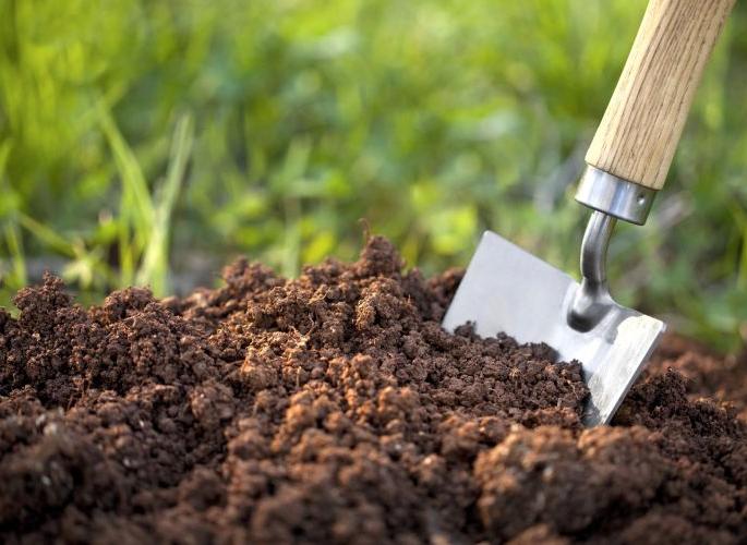 World Soil Day; Tremendous changes in soil testing | जागतिक मृदा दिवस; मृदा चाचणीतून शेतीत होतोय सकारात्मक बदल World Soil Day; Tremendous changes in soil testing | जागतिक मृदा दिवस; मृदा चाचणीतून शेतीत होतोय सकारात्मक बदल
