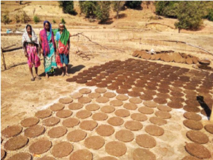 Gowri from Vanvasi village reaches Nashik market; Local women got employment | वनवासी गावातील गोवरी पोहोचली नाशिकच्या बाजारात; स्थानिक महिलांना मिळाला रोजगार Gowri from Vanvasi village reaches Nashik market; Local women got employment | वनवासी गावातील गोवरी पोहोचली नाशिकच्या बाजारात; स्थानिक महिलांना मिळाला रोजगार