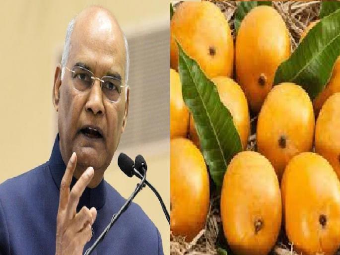 President Ramnath Kavind in his speech mentioned Hapus Mango | रत्नागिरीच्या हापूस आंब्याचे राष्ट्रपतींकडून काैतुक, म्हणाले आंब्याचा गाेडवा.. President Ramnath Kavind in his speech mentioned Hapus Mango | रत्नागिरीच्या हापूस आंब्याचे राष्ट्रपतींकडून काैतुक, म्हणाले आंब्याचा गाेडवा..