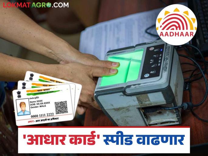 Now Aadhaar card works will be done quickly; The information and technology department of the state will do this big work | आता आधार कार्डची कामे होणार झटपट; राज्याच्या माहिती व तंत्रज्ञान विभाग करणार हे मोठं काम Now Aadhaar card works will be done quickly; The information and technology department of the state will do this big work | आता आधार कार्डची कामे होणार झटपट; राज्याच्या माहिती व तंत्रज्ञान विभाग करणार हे मोठं काम