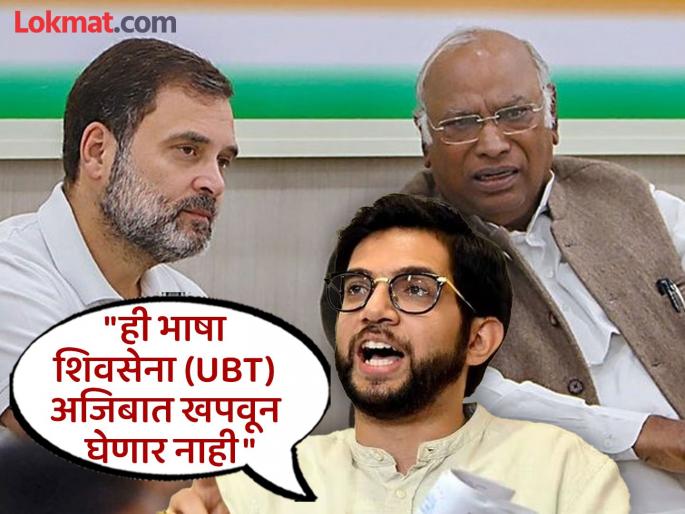"Congress party leaders should explain to their MLAs"; Aditya Thackeray gets angry | "काँग्रेसच्या पक्षश्रेष्ठींनी आपल्या आमदारांना समज द्यावी"; आदित्य ठाकरे संतापले "Congress party leaders should explain to their MLAs"; Aditya Thackeray gets angry | "काँग्रेसच्या पक्षश्रेष्ठींनी आपल्या आमदारांना समज द्यावी"; आदित्य ठाकरे संतापले