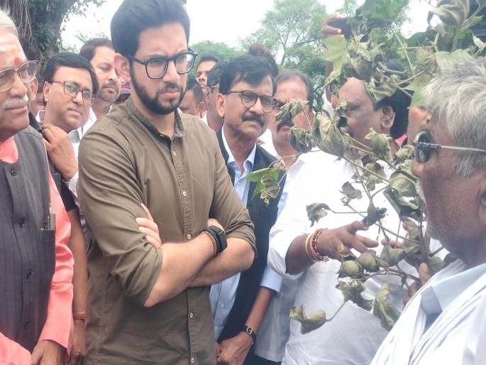 "No one knows who is the agriculture minister of the state", Aditya Thackeray's attack from the farmers | सरकारने शेतकऱ्यांना वाऱ्यावर सोडले, राज्याचे कृषिमंत्री कोणाला माहिती नाहीत: आदित्य ठाकरे "No one knows who is the agriculture minister of the state", Aditya Thackeray's attack from the farmers | सरकारने शेतकऱ्यांना वाऱ्यावर सोडले, राज्याचे कृषिमंत्री कोणाला माहिती नाहीत: आदित्य ठाकरे