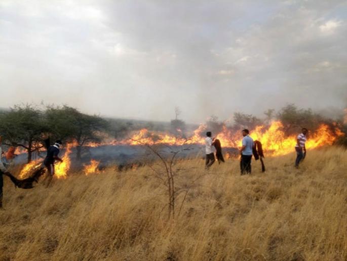Let the fire burn on Govardhan mountain | गोवर्धन डोंगरावर पेटला वणवा