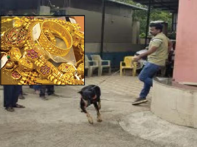 Thieves broke into the locked house of a businessman in Oglewadi of Satara district and stole 110 tolas worth of jewelery and cash | Satara: लक्ष्मीपूजनासाठी घरी आणलेले ११० तोळ्यांचे दागिने चोरीस, दीड लाखाची रोकडही लंपास Thieves broke into the locked house of a businessman in Oglewadi of Satara district and stole 110 tolas worth of jewelery and cash | Satara: लक्ष्मीपूजनासाठी घरी आणलेले ११० तोळ्यांचे दागिने चोरीस, दीड लाखाची रोकडही लंपास