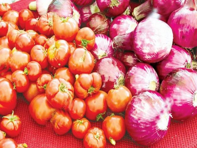 Tomatoes became more expensive, onions fellनितीन जगताप n लोकमत न्यूज नेटवर्क मुंबई : गेल्या काही दिवसात टोमॅटोची आवक कमी झाली असून त्यामुळे भाव २० रुपयांनी वाढले आहेत. गेल्या काही दिवसात कांद्याचे भाव वाढले होते, पण आता आवक वाढली असून प्रतिकिलो २० ते ३० | टोमॅटो महागले, कांदा घसरला; डाळींच्या दरात घसरण, तुलनेत खरेदी झाली कमी Tomatoes became more expensive, onions fellनितीन जगताप n लोकमत न्यूज नेटवर्क मुंबई : गेल्या काही दिवसात टोमॅटोची आवक कमी झाली असून त्यामुळे भाव २० रुपयांनी वाढले आहेत. गेल्या काही दिवसात कांद्याचे भाव वाढले होते, पण आता आवक वाढली असून प्रतिकिलो २० ते ३० | टोमॅटो महागले, कांदा घसरला; डाळींच्या दरात घसरण, तुलनेत खरेदी झाली कमी