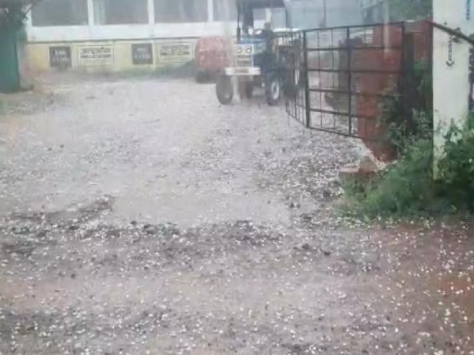 Hail rain with strong winds in aajra Kolhapur | Kolhapur: आजऱ्यात वादळी वाऱ्यासह गारांचा पाऊस; काजू, आंबा पिकांना धोका Hail rain with strong winds in aajra Kolhapur | Kolhapur: आजऱ्यात वादळी वाऱ्यासह गारांचा पाऊस; काजू, आंबा पिकांना धोका