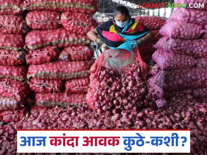 Latest News Aajche kanda bajarbhav unhal onion arrivals increased in Nashik district, read today's market prices | Aajche Kanda Market : नाशिक जिल्ह्यात उन्हाळ कांद्याची आवक वाढली, वाचा आजचे बाजारभाव Latest News Aajche kanda bajarbhav unhal onion arrivals increased in Nashik district, read today's market prices | Aajche Kanda Market : नाशिक जिल्ह्यात उन्हाळ कांद्याची आवक वाढली, वाचा आजचे बाजारभाव