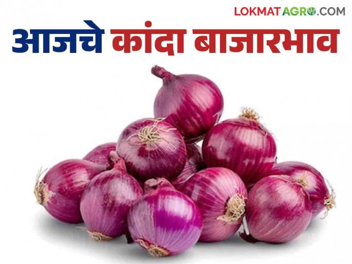 Onion Market Rate: Onion arrivals in the state have slowed down; Read what is the rate being obtained | Onion Market Rate : राज्यात कांद्याची आवक मंदावली; वाचा काय मिळतोय दर Onion Market Rate: Onion arrivals in the state have slowed down; Read what is the rate being obtained | Onion Market Rate : राज्यात कांद्याची आवक मंदावली; वाचा काय मिळतोय दर
