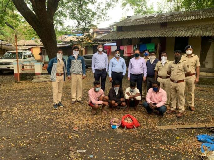 Allegations of poaching of scaly cats in the possession of the Forest Department | खवले मांजराची शिकार करणारे आरोप वनविभागाच्या ताब्यात Allegations of poaching of scaly cats in the possession of the Forest Department | खवले मांजराची शिकार करणारे आरोप वनविभागाच्या ताब्यात