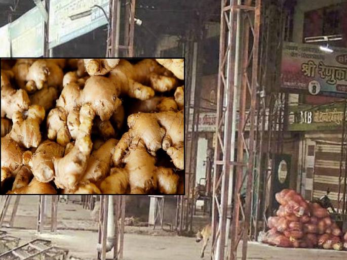 The resolution to purchase old and new Ginger outright was unanimously approved in the Satara Bazaar Committee | Satara: अखेर 'आले' खरेदीवर तोडगा निघाला, प्रतवारी न करता सरसकट खरेदी करण्याचा ठराव The resolution to purchase old and new Ginger outright was unanimously approved in the Satara Bazaar Committee | Satara: अखेर 'आले' खरेदीवर तोडगा निघाला, प्रतवारी न करता सरसकट खरेदी करण्याचा ठराव