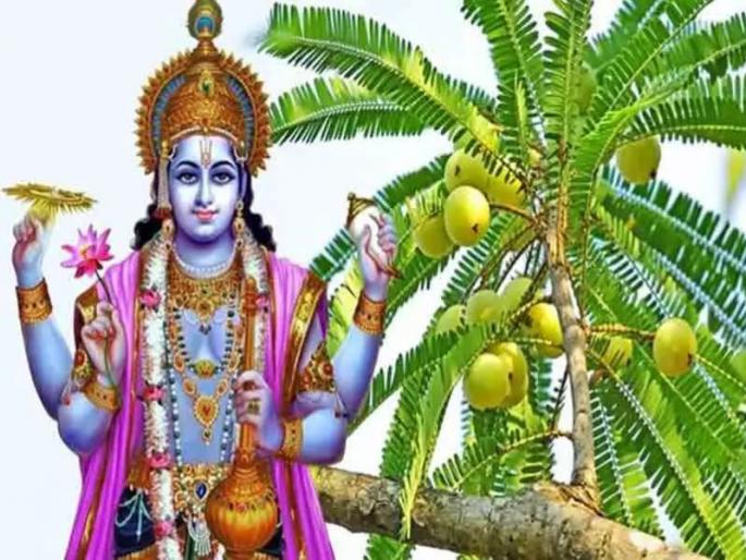 Amalki Ekadashi vows that give freedom and salvation from diseases! | रोगांपासून मुक्ती आणि मोक्ष देणारे आमलकी एकादशीचे व्रत! Amalki Ekadashi vows that give freedom and salvation from diseases! | रोगांपासून मुक्ती आणि मोक्ष देणारे आमलकी एकादशीचे व्रत!