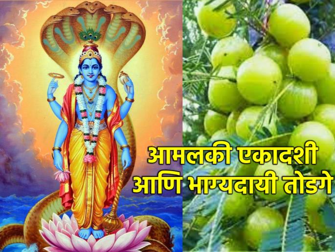 Amalaki Ekadashi 2024: Do 'This' Special Remedy Today on Amalaki Ekadashi; Get wealth-grain-prosperity! | Amalaki Ekadashi 2024: आज आमलकी एकादशीनिमित्त 'हे' खास उपाय करा; धन-धान्य-समृद्धी मिळवा! Amalaki Ekadashi 2024: Do 'This' Special Remedy Today on Amalaki Ekadashi; Get wealth-grain-prosperity! | Amalaki Ekadashi 2024: आज आमलकी एकादशीनिमित्त 'हे' खास उपाय करा; धन-धान्य-समृद्धी मिळवा!