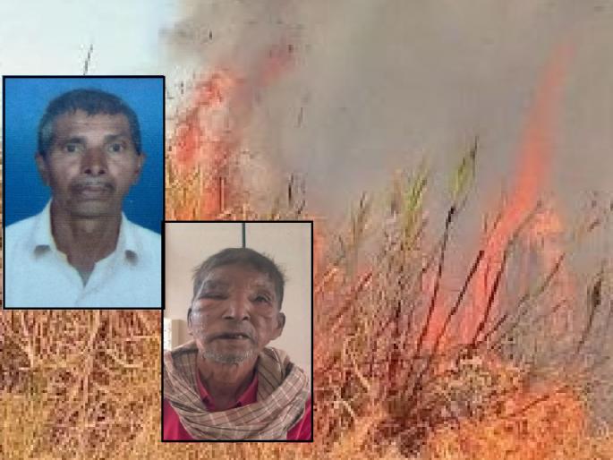 One person died and another was injured while setting fire to a sugarcane field in Wakurde Budruk Sangli | Sangli News: उसाचा फड पेटवताना एकाचा मृत्यू, एकजण जखमी One person died and another was injured while setting fire to a sugarcane field in Wakurde Budruk Sangli | Sangli News: उसाचा फड पेटवताना एकाचा मृत्यू, एकजण जखमी