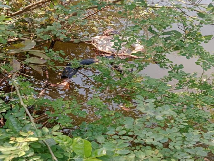 An abandoned body was found in the riverbed near Arey Savarwadi in Kolhapur | Kolhapur News: आरे-सावरवाडी नजीक नदीपात्रात आढळला बेवारस मृतदेह An abandoned body was found in the riverbed near Arey Savarwadi in Kolhapur | Kolhapur News: आरे-सावरवाडी नजीक नदीपात्रात आढळला बेवारस मृतदेह