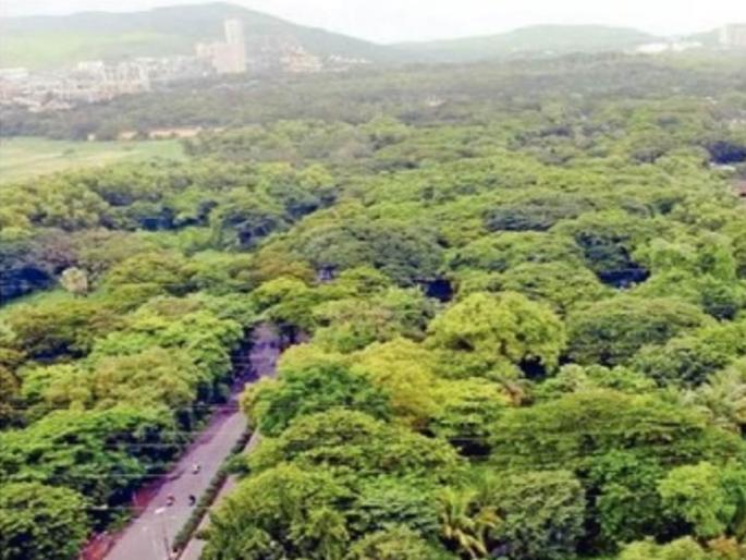 it has been three weeks for the aarey residents waiting for the executive officer | तीन आठवडे झाले, आरेवासीय कार्यकारी अधिकाऱ्याच्या प्रतीक्षेत it has been three weeks for the aarey residents waiting for the executive officer | तीन आठवडे झाले, आरेवासीय कार्यकारी अधिकाऱ्याच्या प्रतीक्षेत