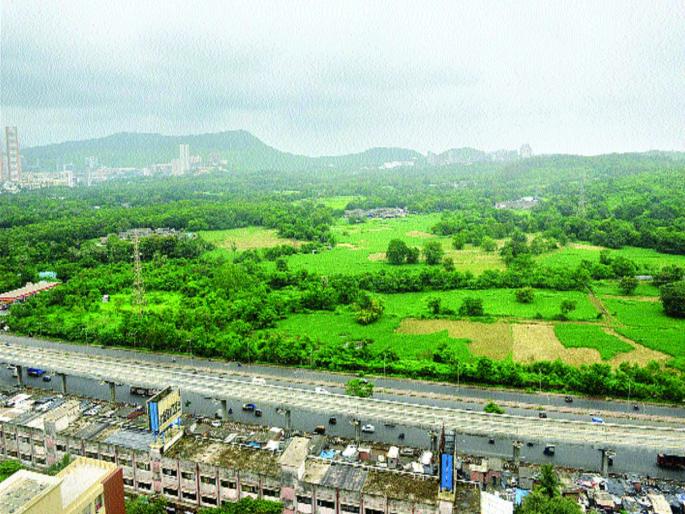 The fight is not over; Protesters demand declaration of Aare as a Forest | लढा संपलेला नाही; आरेला जंगल म्हणून घोषित करावे, आंदोलकांची मागणी The fight is not over; Protesters demand declaration of Aare as a Forest | लढा संपलेला नाही; आरेला जंगल म्हणून घोषित करावे, आंदोलकांची मागणी