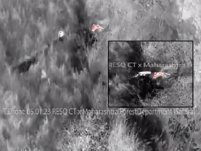 Rescue operation by forest department in Waghdara mountain area of Jinti village in Karad taluka satara, Two leopards were found | satara news: वाघदरा डोंगर परिसरात बिबट्याचे वास्तव्य, वनविभागाची ड्रोनद्वारे पाहणी; ग्रामस्थांना सतर्कतेच्या सूचना Rescue operation by forest department in Waghdara mountain area of Jinti village in Karad taluka satara, Two leopards were found | satara news: वाघदरा डोंगर परिसरात बिबट्याचे वास्तव्य, वनविभागाची ड्रोनद्वारे पाहणी; ग्रामस्थांना सतर्कतेच्या सूचना