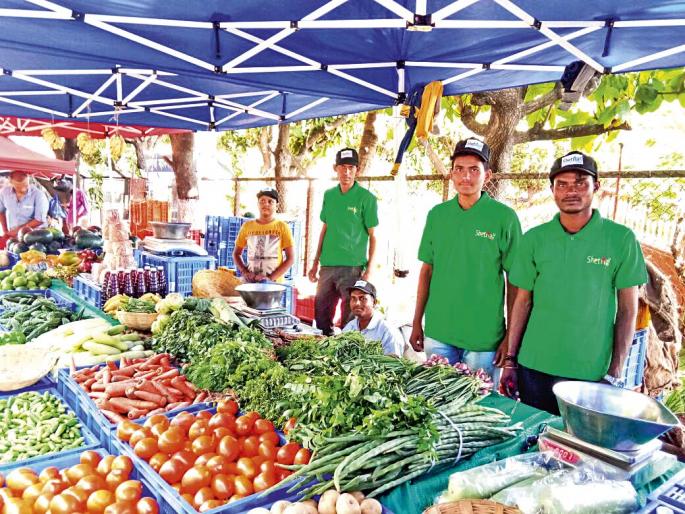 highly educated youth from Nashik distric breaking agriculture norms! | नोकरी सोडून भाजी विकण्याचं वेड! highly educated youth from Nashik distric breaking agriculture norms! | नोकरी सोडून भाजी विकण्याचं वेड!