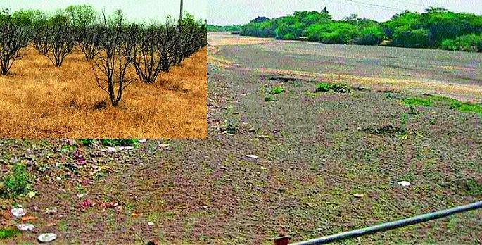 Atapadi 3 times during drought cycle | आटपाडी २३ वेळा दुष्काळाच्या फेऱ्यात; निसर्गाच्या सततच्या अवकृपेने दुष्काळग्रस्त हैराण Atapadi 3 times during drought cycle | आटपाडी २३ वेळा दुष्काळाच्या फेऱ्यात; निसर्गाच्या सततच्या अवकृपेने दुष्काळग्रस्त हैराण
