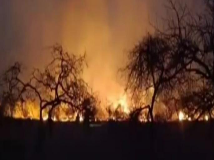 A massive fire broke out in a 75 hectare area of the forest department in Jambhulani Sangli district | Sangli: जांभुळणीत वनविभागाच्या ७५ हेक्टरवरील क्षेत्राला भीषण आग, वनसंपदा जळून खाक  A massive fire broke out in a 75 hectare area of the forest department in Jambhulani Sangli district | Sangli: जांभुळणीत वनविभागाच्या ७५ हेक्टरवरील क्षेत्राला भीषण आग, वनसंपदा जळून खाक