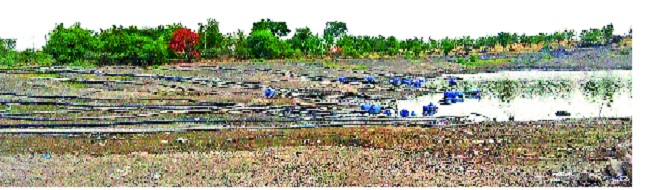 Atpadi lake will dry up in four days due to rains - some of the reservoirs on reserved water | आटपाडीचा तलाव उपशामुळे चार दिवसात कोरडा पडणार- आरक्षित पाण्यावर काहींचा डल्ला Atpadi lake will dry up in four days due to rains - some of the reservoirs on reserved water | आटपाडीचा तलाव उपशामुळे चार दिवसात कोरडा पडणार- आरक्षित पाण्यावर काहींचा डल्ला