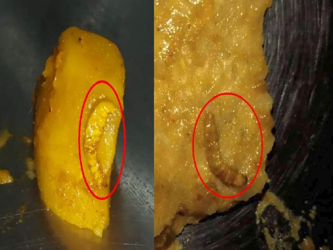 10 students' health worsened due to meal containing maggots in Mahatma Gandhi Antarrashtriya Hindi Vishwavidyalaya | अळ्यायुक्त जेवणामुळे १० विद्यार्थ्यांची प्रकृती खालावली; महात्मा गांधी आंतराष्ट्रीय हिंदी विश्व विद्यापीठातील प्रकार 10 students' health worsened due to meal containing maggots in Mahatma Gandhi Antarrashtriya Hindi Vishwavidyalaya | अळ्यायुक्त जेवणामुळे १० विद्यार्थ्यांची प्रकृती खालावली; महात्मा गांधी आंतराष्ट्रीय हिंदी विश्व विद्यापीठातील प्रकार