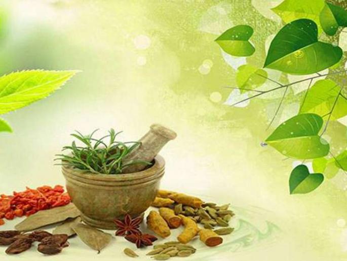 Health care centers will be set up to help spread Ayurveda | आयुर्वेदाच्या प्रसारासाठी आरोग्यवर्धिनी सेवा केंद्रे सुरू करणार Health care centers will be set up to help spread Ayurveda | आयुर्वेदाच्या प्रसारासाठी आरोग्यवर्धिनी सेवा केंद्रे सुरू करणार