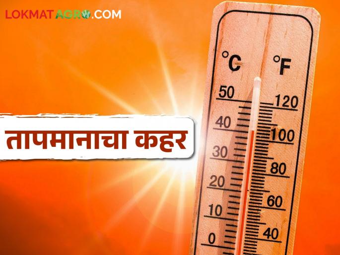 Vidarbha temperature orange alert, what is the temperature in your city in the state? | विदर्भात तापमानाचा ऑरेंज अलर्ट, राज्यात तुमच्या शहरात किती आहे तापमान? Vidarbha temperature orange alert, what is the temperature in your city in the state? | विदर्भात तापमानाचा ऑरेंज अलर्ट, राज्यात तुमच्या शहरात किती आहे तापमान?