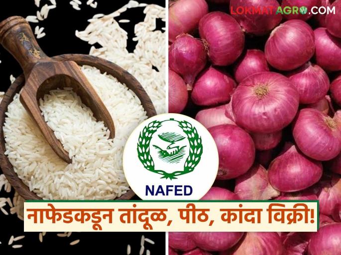Green flag for vehicles to sell NAFED rice, flour and onion through cooperative consumer warehouse | सहकारी ग्राहक भंडाराच्या माध्यमातून नाफेडच्या तांदूळ, पीठ आणि कांदा विक्रीसाठी वाहनांना हिरवा झेंडा 