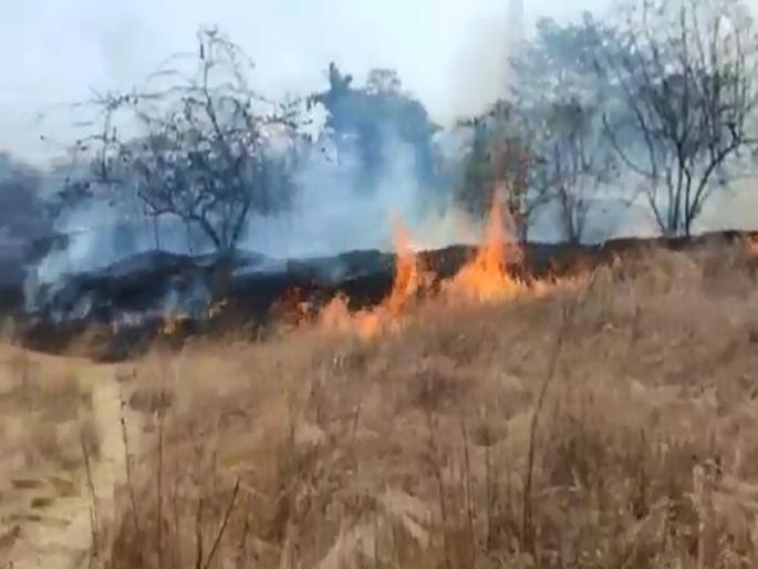 8-acre fruit land burnt by shot circuit fire, farmers lose millions | शॉटसर्किटने लागलेल्या आगीने ८ एकरवरील फळबागा जळून खाक; शेतकऱ्याचे लाखोंचे नुकसान 8-acre fruit land burnt by shot circuit fire, farmers lose millions | शॉटसर्किटने लागलेल्या आगीने ८ एकरवरील फळबागा जळून खाक; शेतकऱ्याचे लाखोंचे नुकसान