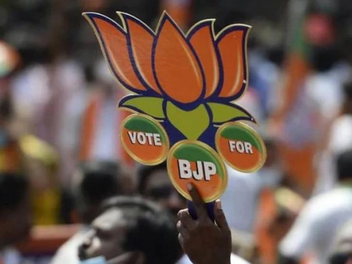 Uttar Pradesh Assembly Election Results 2022: Not lotus flower, BJP fire is fire! Schemes fell heavily on racial equations | Uttar Pradesh Assembly Election Results 2022: कमल फ्लाॅवर नहीं, फायर है फायर ! जातीय समीकरणांवर योजना पडल्या भारी Uttar Pradesh Assembly Election Results 2022: Not lotus flower, BJP fire is fire! Schemes fell heavily on racial equations | Uttar Pradesh Assembly Election Results 2022: कमल फ्लाॅवर नहीं, फायर है फायर ! जातीय समीकरणांवर योजना पडल्या भारी