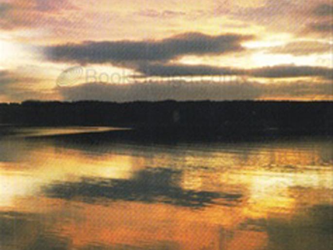 Fireworks in the sky ... | आकाशातील निसर्गाची आतषबाजी... Fireworks in the sky ... | आकाशातील निसर्गाची आतषबाजी...