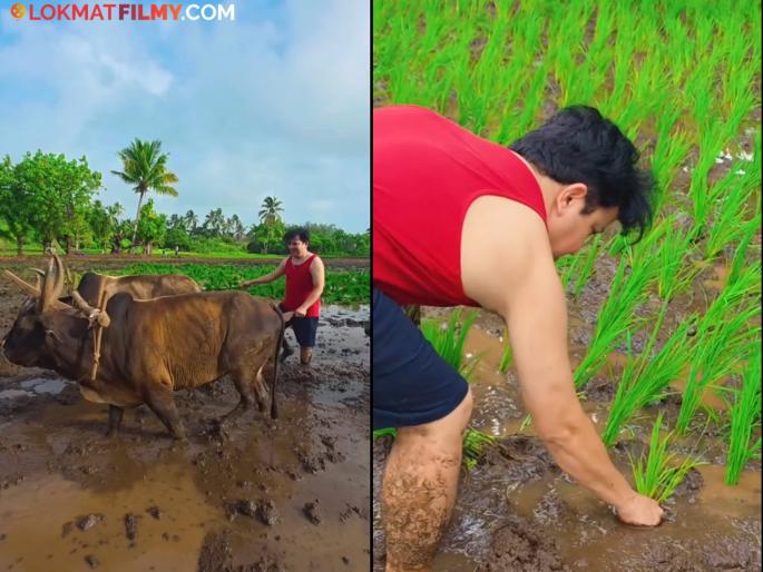 marathi actor abhijeet kelkar farming in konkan shared video on social media netizens praise | VIDEO: बैल, नांगर अन् भात लावणी! 'बिग बॉस' फेम अभिनेता रमला शेतात, साधेपणाचं होतंय कौतुक marathi actor abhijeet kelkar farming in konkan shared video on social media netizens praise | VIDEO: बैल, नांगर अन् भात लावणी! 'बिग बॉस' फेम अभिनेता रमला शेतात, साधेपणाचं होतंय कौतुक