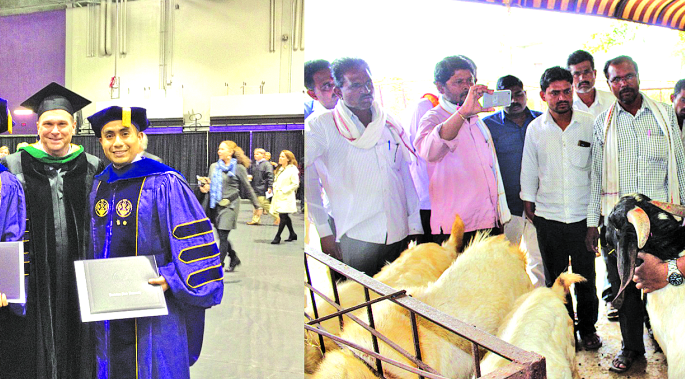 Sheepdog business leaving jobs in the United States | अमेरिकेतील नोकरी सोडून शेळीपालन व्यवसाय