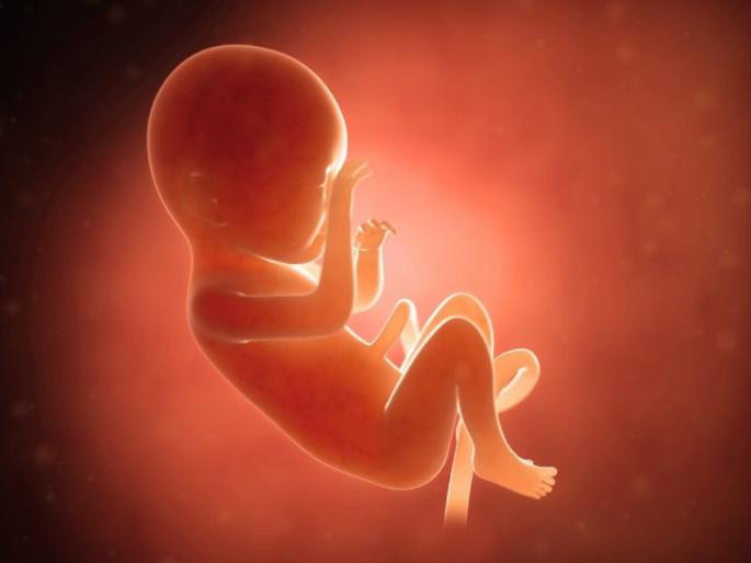 Illegal abortion case in Jalna after Aurangabad; A case has been filed against the doctors along with her husband | औरंगाबादनंतर जालन्यातही अवैध गर्भपात प्रकरण; पतीसह डॉक्टरांवर गुन्हा दाखल Illegal abortion case in Jalna after Aurangabad; A case has been filed against the doctors along with her husband | औरंगाबादनंतर जालन्यातही अवैध गर्भपात प्रकरण; पतीसह डॉक्टरांवर गुन्हा दाखल