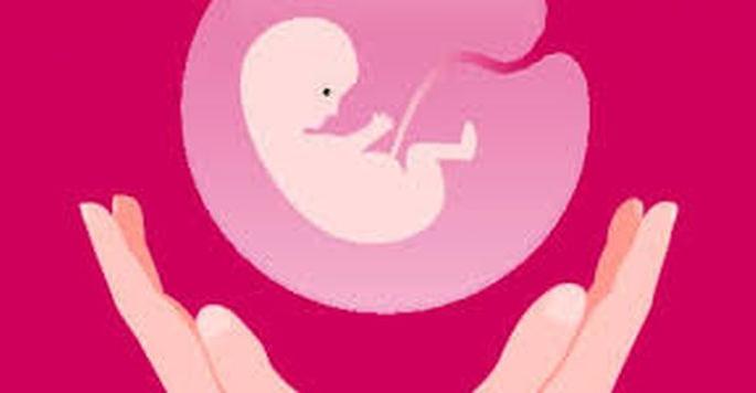 Medical board to give advice to court in case of abortion | गर्भपाताच्या प्रकरणात वैद्यकीय मंडळ देणार न्यायालयाला सल्ला Medical board to give advice to court in case of abortion | गर्भपाताच्या प्रकरणात वैद्यकीय मंडळ देणार न्यायालयाला सल्ला