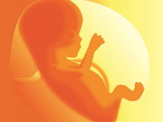 hc nagpur bench allows woman to abort 29 week of deformed fetus | २९ आठवड्यांचा विकृतीग्रस्त गर्भ पाडण्याची परवानगी; हायकोर्टाचा पीडित महिलेला दिलासा hc nagpur bench allows woman to abort 29 week of deformed fetus | २९ आठवड्यांचा विकृतीग्रस्त गर्भ पाडण्याची परवानगी; हायकोर्टाचा पीडित महिलेला दिलासा