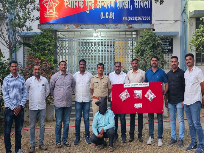 Three pistols, ten cartridges seized from a criminal on record in Sangli | Sangli: रेकॉर्डवरील गुन्हेगाराकडून तीन पिस्तुले, दहा काडतुसे जप्त