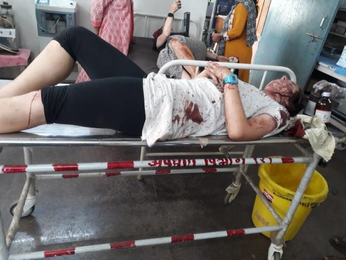 Australian tourists crash in Raigad district | ऑस्ट्रेलियन पर्यटकांना रायगड जिल्ह्यात अपघात Australian tourists crash in Raigad district | ऑस्ट्रेलियन पर्यटकांना रायगड जिल्ह्यात अपघात